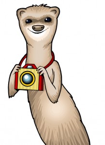 ispy games Foto Ferret